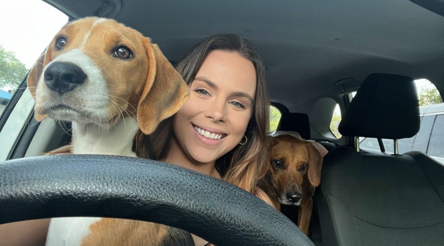 Daniel Island Pet Care: Meet Corey Richardson of Paws and Claws