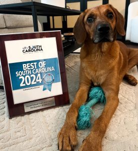 Dog lying beside a "Best of South Carolina 2024" award plaque won by Daniel Island Paws and Claws.