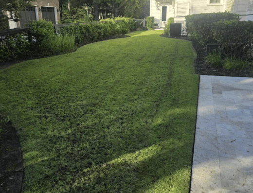 Reliable Lawn Care in Charleston SC | Eastern Otter Landscaping