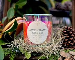 Barn Jam At Awendaw Green